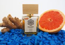 Fleur de Mandarine von Baldini TAOASIS - Naturparfum