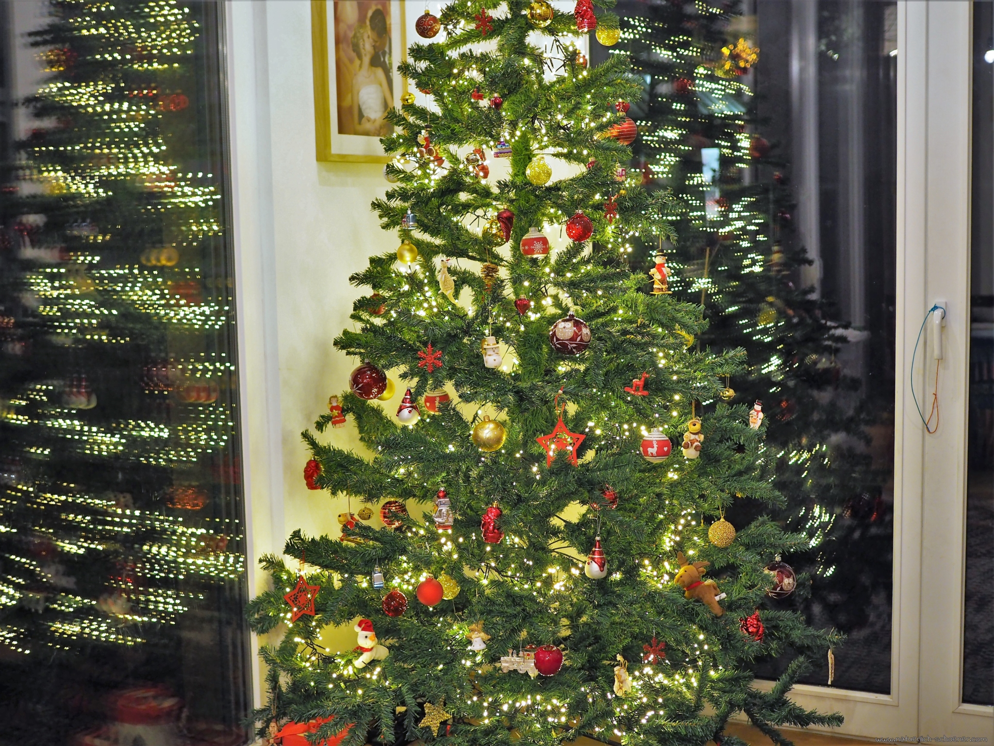 Wie Nachhaltig Ist Ein Weihnachtsbaum Tanne Fichte Bio Oder Kunstlich