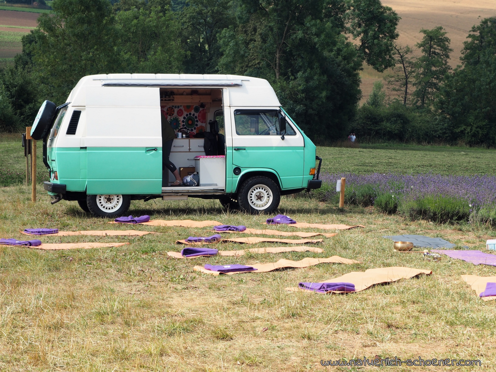 Yoga im Lavendelfeld