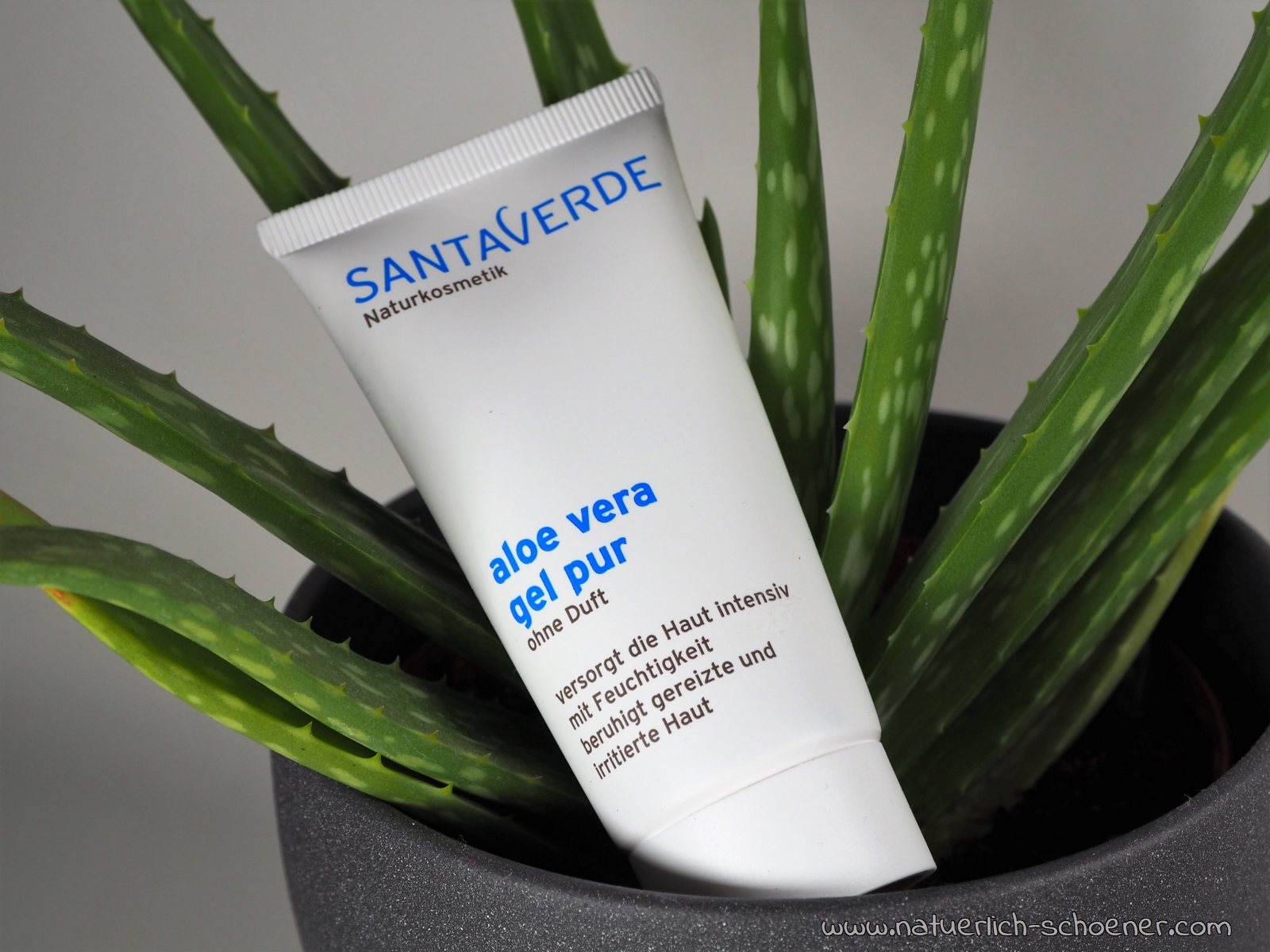 Santaverde Aloe Vera Gel pur