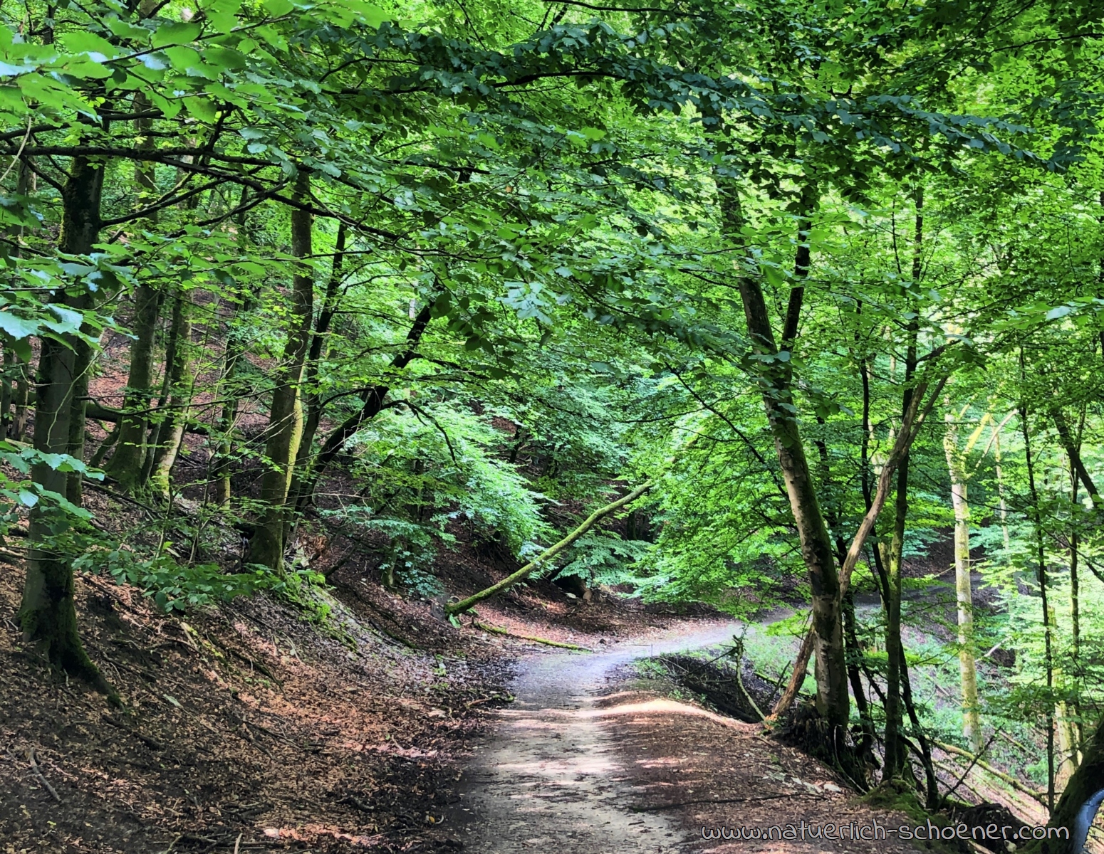 Waldbaden 